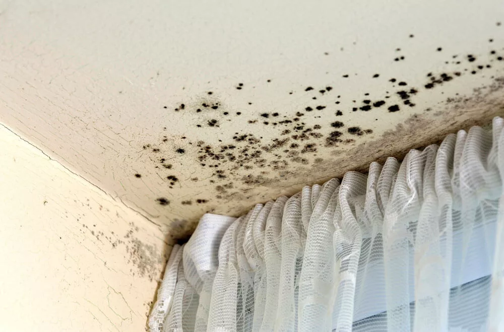 Housing Conditions Claims Housing Conditions Claims
